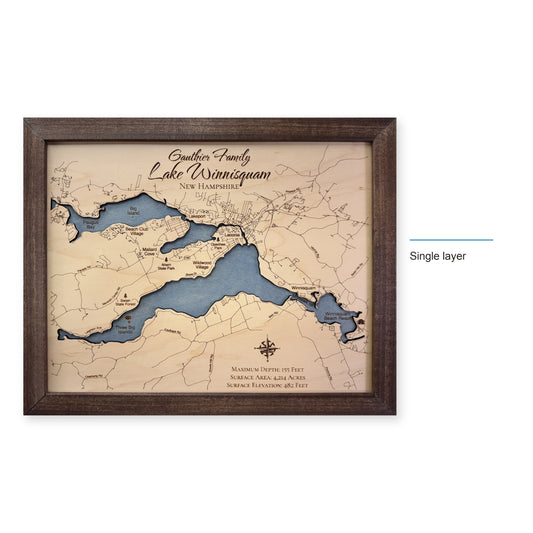 Winnisquam Gauthier wood map — single layer, layer option shown