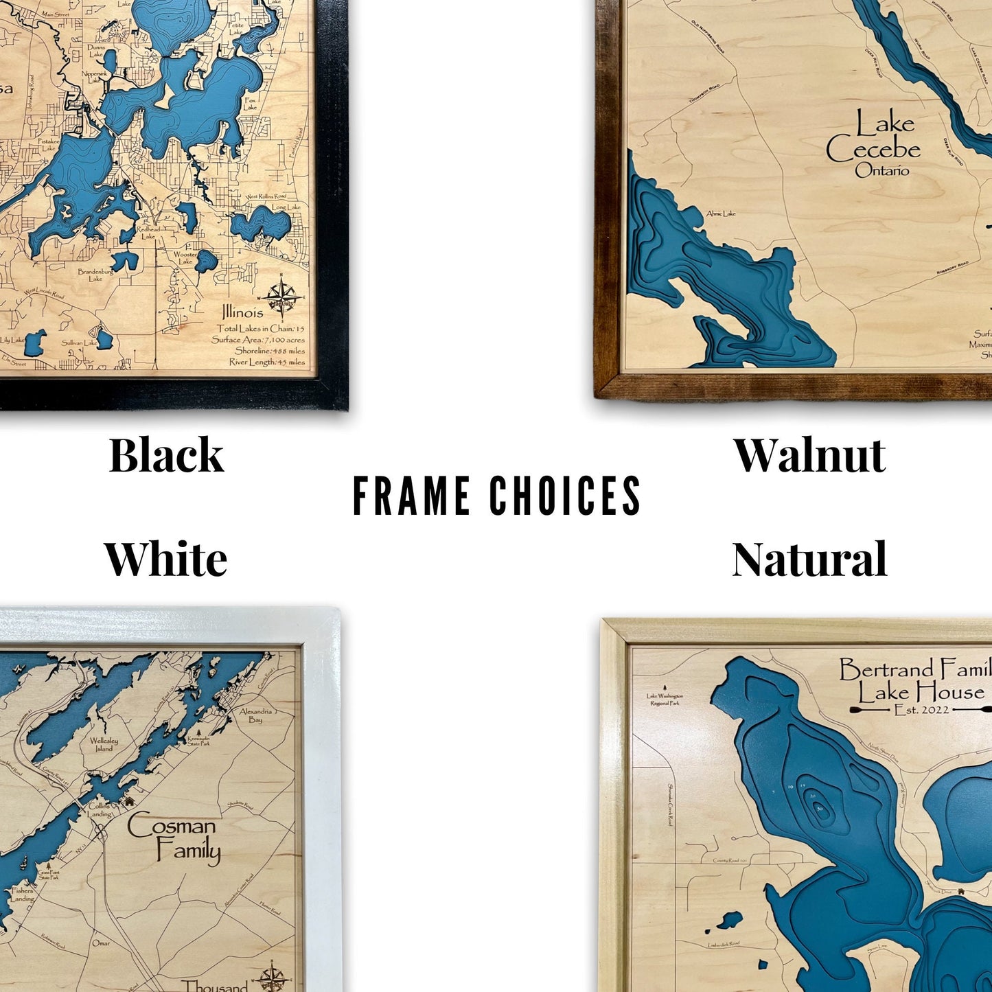 Belews Lake Wood Map